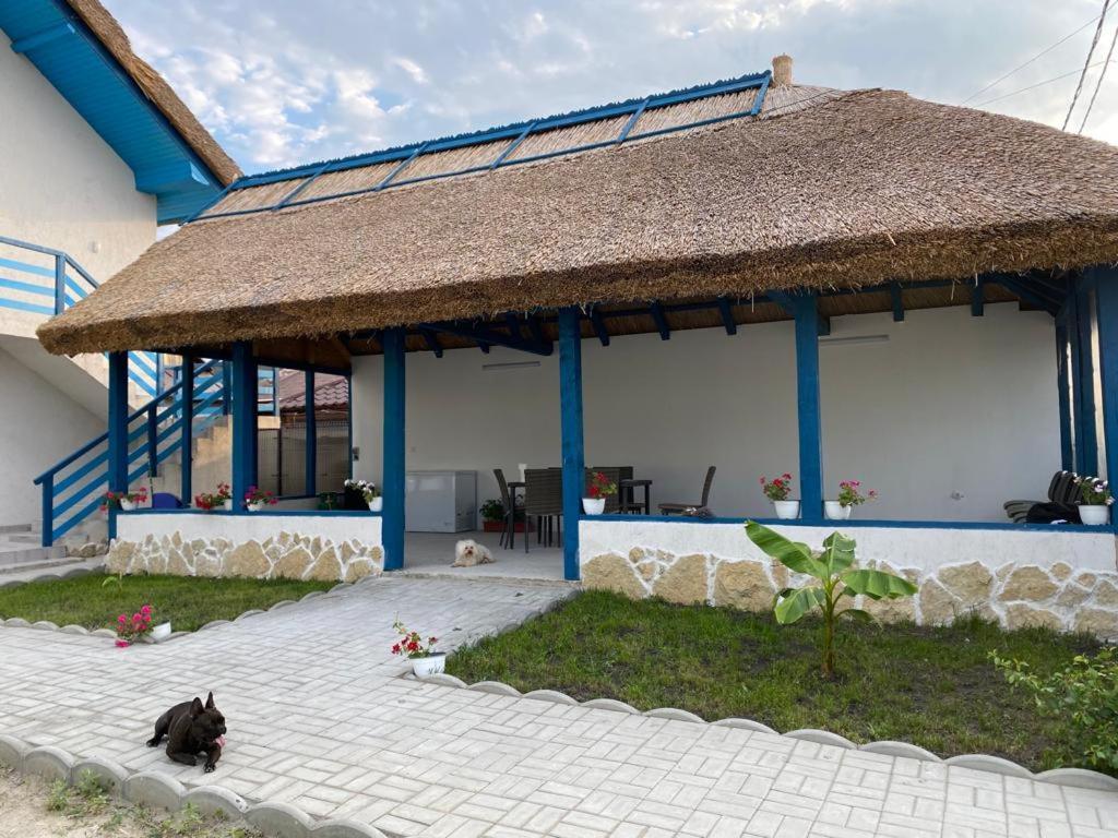 Mila Douăzeci şi Trei Casa Munteanu酒店 外观 照片